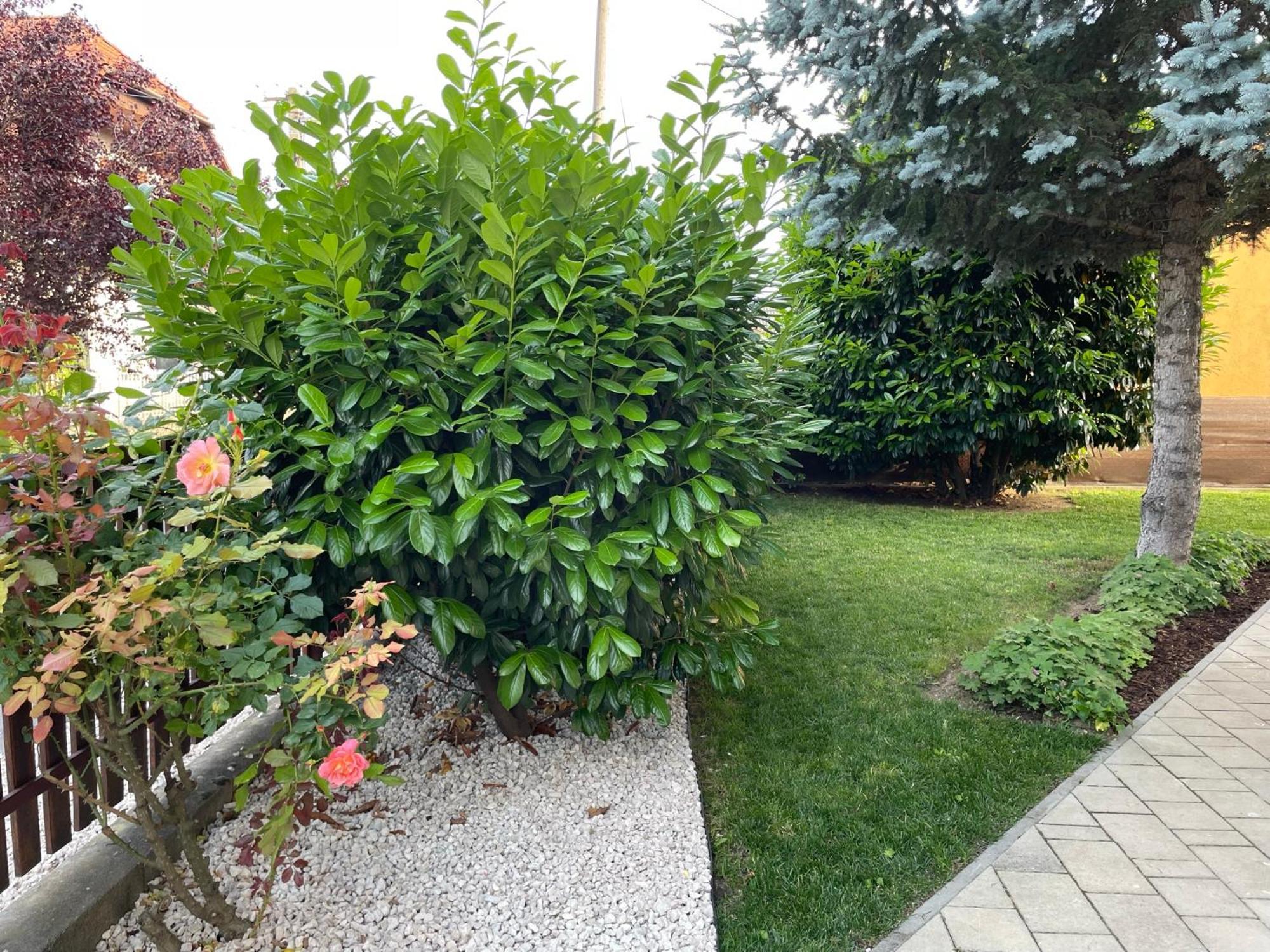 Villa Lili Apartments Balatonkeresztur Bagian luar foto